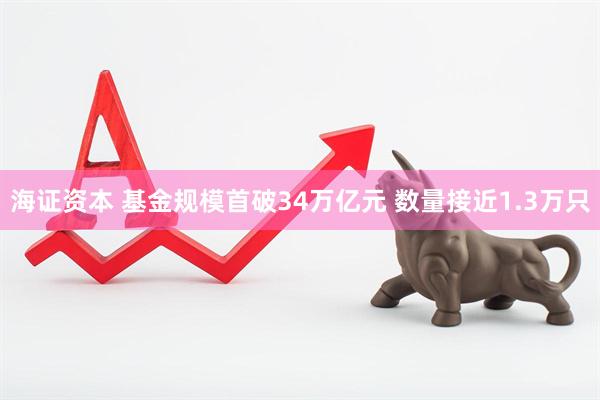 海证资本 基金规模首破34万亿元 数量接近1.3万只