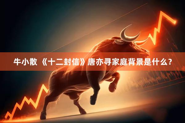牛小散 《十二封信》唐亦寻家庭背景是什么？
