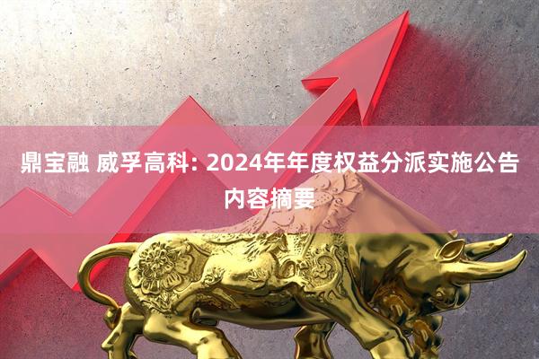 鼎宝融 威孚高科: 2024年年度权益分派实施公告内容摘要