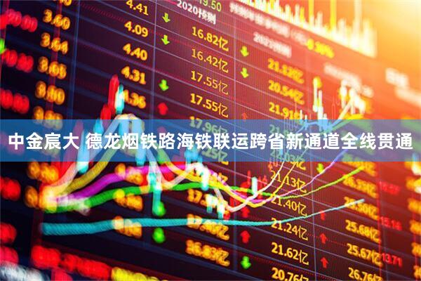 中金宸大 德龙烟铁路海铁联运跨省新通道全线贯通