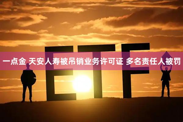 一点金 天安人寿被吊销业务许可证 多名责任人被罚