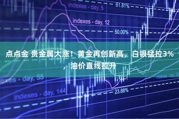 点点金 贵金属大涨！黄金再创新高，白银猛拉3%，油价直线拉升
